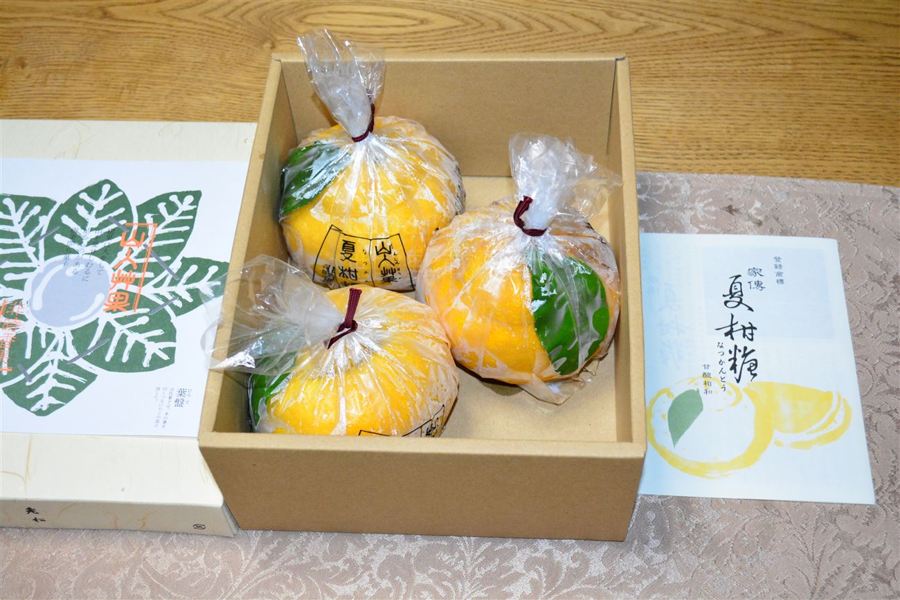 京都の老舗和菓子店の高級夏みかん寒天「夏柑糖」を買ってみた！